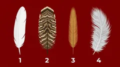 Siehst du überall Zeichen? So helfen Apophenie und Feder-Orakel beim Einordnen